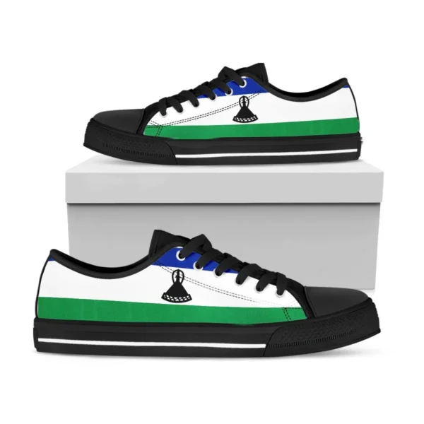 Footwear - Lesotho Flag Low Top Shoe